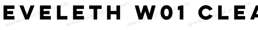 Eveleth W01 Clean Re字体转换